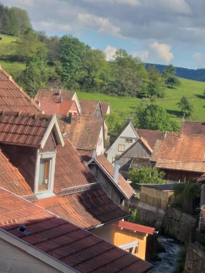 Residence Soansa Du Gerardmer - Col De La Schlucht Soultzeren Eksteriør billede